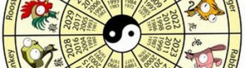 2011 is Year of the Rabbit - feng shui horoscope 