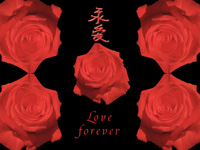 Feng shui wallpaper for love and marriage 